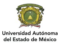Unidad Académica Profesional Chimalhuacán